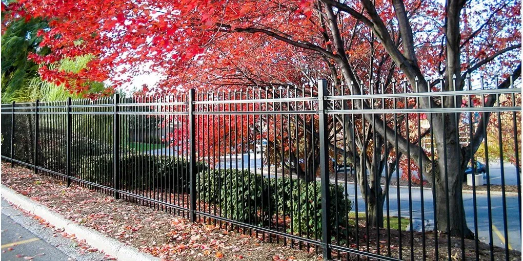 fencing